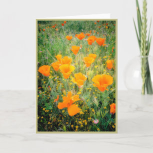 California Poppy's Kaart