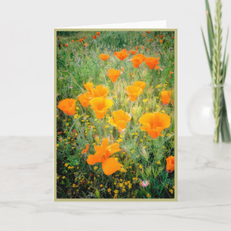 California Poppy's Kaart