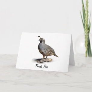 CALIFORNIA QUAIL - BEDANKT