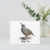 CALIFORNIA QUAIL - BEDANKT BRIEFKAART (Staand voorkant)