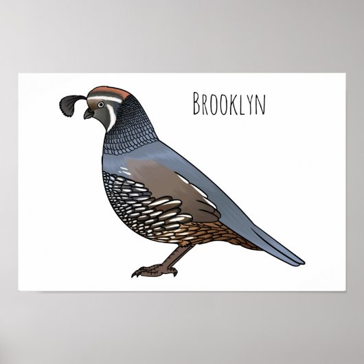 California quail bird cartoon illustration  poster (Voorkant)