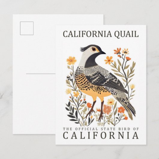 California Quail Bird of California Verenigde Stat Briefkaart (Voorkant / Achterkant)