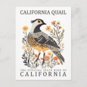 California Quail Bird of California Verenigde Stat Briefkaart (Voorkant)
