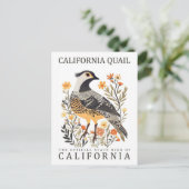 California Quail Bird of California Verenigde Stat Briefkaart (Staand voorkant)
