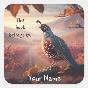 California Quail Birds Dit boek hoort bij de boekp Vierkante Sticker