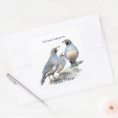 California Quail Birds Dit boek hoort bij de boekp Vierkante Sticker (Envelop)