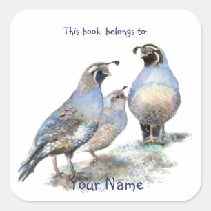 California Quail Birds Dit boek hoort bij de boekp Vierkante Sticker