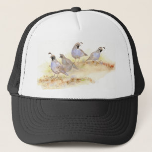 California Quail, Birds, Natuur, Wildlife, Trucker Pet