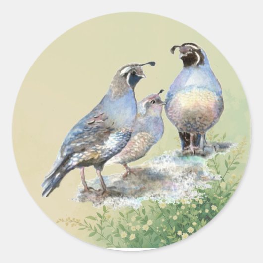 California Quail Birds Watercolor Art  Ronde Sticker (Voorkant)