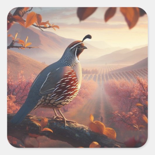 California Quail Birds Wildlife Natuur Kunst Vierkante Sticker (Voorkant)