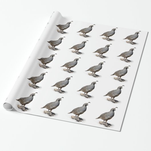 CALIFORNIA QUAIL CADEAUPAPIER (Uitgerold)