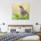 California Quail Canvas Afdruk (Insitu (Slaapkamer))