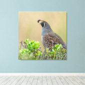California Quail Canvas Afdruk (Insitu (Houten vloer))