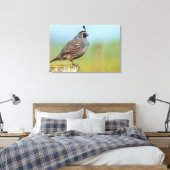 California Quail Canvas Afdruk (Insitu (Slaapkamer))