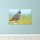 California Quail Canvas Afdruk (Insitu (Houten vloer))