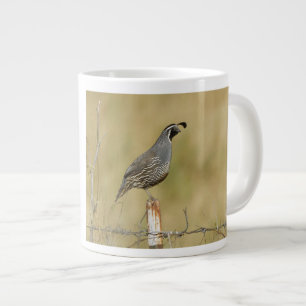 California Quail Grote Koffiekop