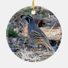 California Quail Keramisch Ornament