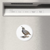 CALIFORNIA QUAIL MAGNEET (Insitu (Vaatwasser))