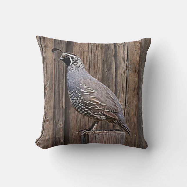 CALIFORNIA QUAIL OP BARNBOARD KUSSEN (Voorkant)