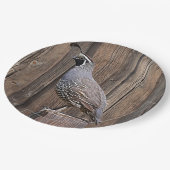 CALIFORNIA QUAIL OP BARNBOARD PAPIEREN BORDJE (Gekanteld)