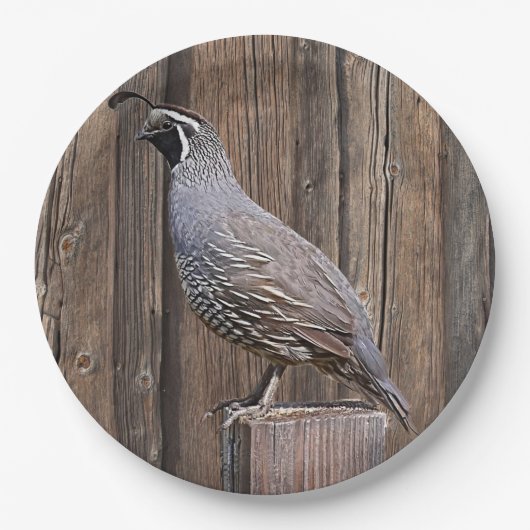 CALIFORNIA QUAIL OP BARNBOARD PAPIEREN BORDJE (Voorkant)