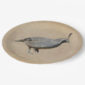 CALIFORNIA QUAIL PAPIEREN BORDJE (Gekanteld)