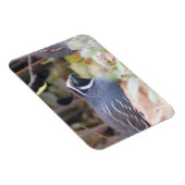 California Quail Profile Magnet Magneet (Rechterzijde)