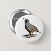 CALIFORNIA QUAIL RONDE BUTTON 5,7 CM (Voorkant /achterkant)