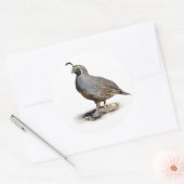 CALIFORNIA QUAIL RONDE STICKER (Envelop)