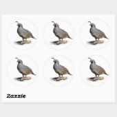 CALIFORNIA QUAIL RONDE STICKER (Vel)