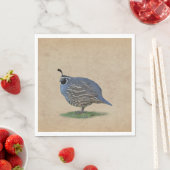 CALIFORNIA QUAIL SERVETTEN (Insitu)