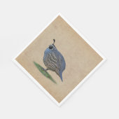 CALIFORNIA QUAIL SERVETTEN (Hoek)