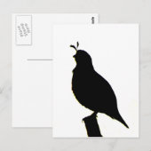 California Quail silhouette Briefkaart (Voorkant / Achterkant)