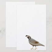 California Quail Stationery Briefpapier (Voorkant / Achterkant)