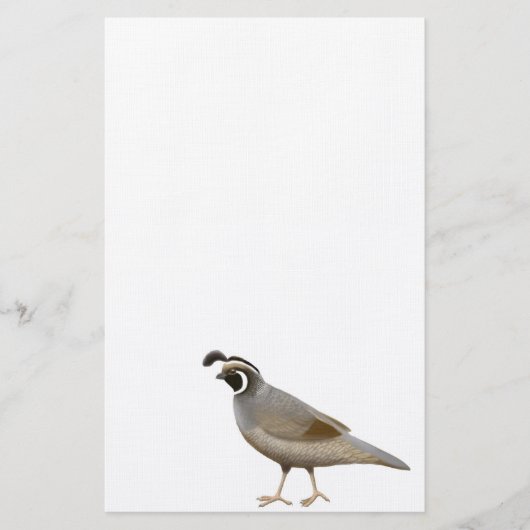 California Quail Stationery Briefpapier (Voorkant)