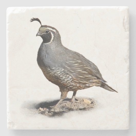 CALIFORNIA QUAIL STENEN ONDERZETTER (Voorkant)