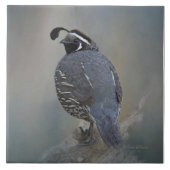 California Quail Tegeltje (Voorkant)