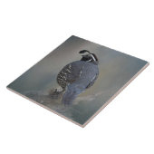 California Quail Tegeltje (Zijkant)