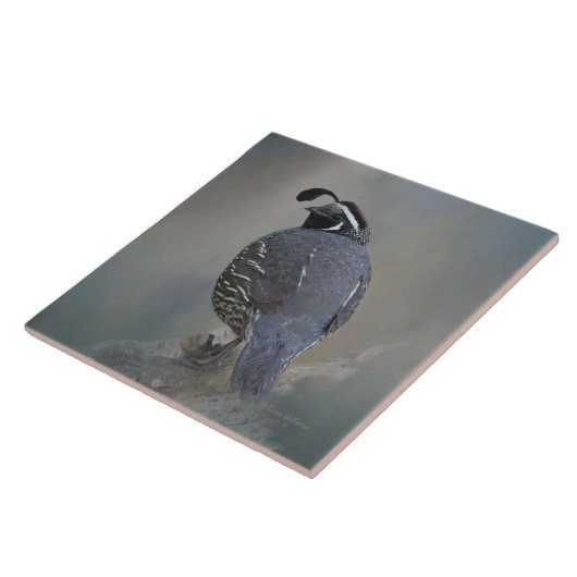 California Quail Tegeltje (Zijkant)