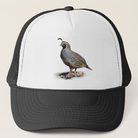 CALIFORNIA QUAIL TRUCKER PET (Voorkant)