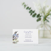 California Quail Visitekaartje Bird Natuur (Staand voorkant)