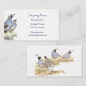 California Quail Visitekaartje Bird Natuur (Voorkant / Achterkant)