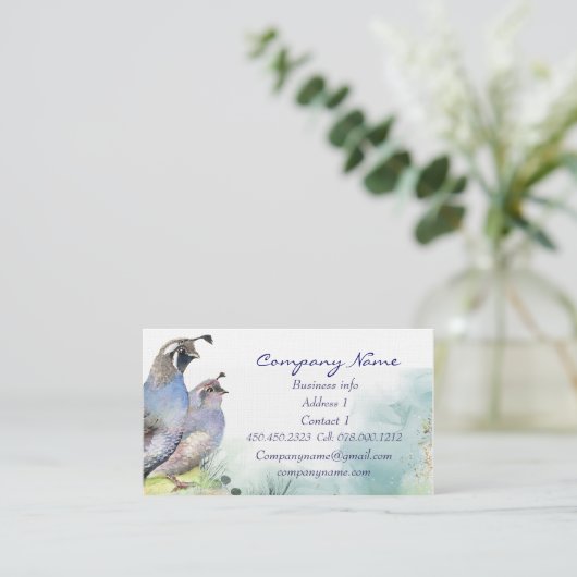 California Quail Visitekaartje Bird Natuur (Staand voorkant)