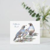 California Quail, Vogel, Natuur, Wildlife Briefkaart (Staand voorkant)
