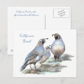 California Quail, Vogel, Natuur, Wildlife Briefkaart (Voorkant / Achterkant)