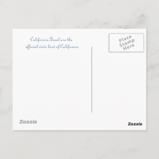 California Quail, Vogel, Natuur, Wildlife Briefkaart (Achterkant)
