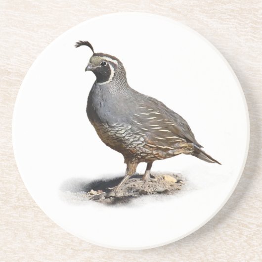 CALIFORNIA QUAIL ZANDSTEEN ONDERZETTER (Voorkant)