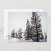 California, Rancho Cuyamaca State Park Briefkaart (Voorkant / Achterkant)