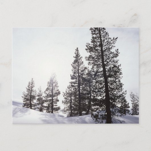 California, Rancho Cuyamaca State Park Briefkaart (Voorkant)