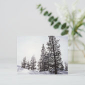 California, Rancho Cuyamaca State Park Briefkaart (Staand voorkant)